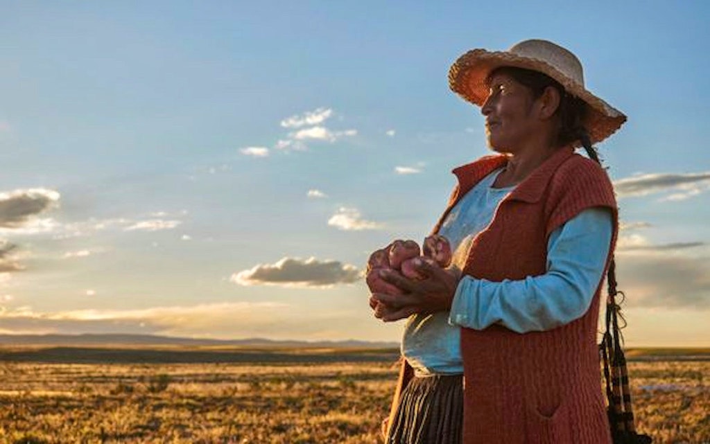 A Bolivian woman farmer with potatoes in her hands. the sun is setting.