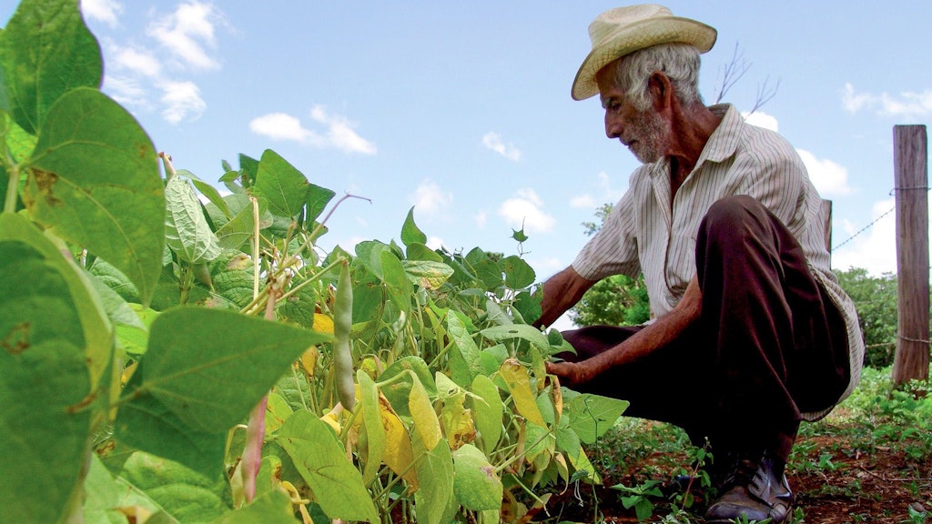 Agricultor en el campo